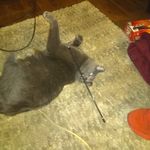 Ted Carlisle - @ted.carlisle.5 - Instagram