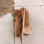 Cubby & Teddy Carmack - @cubbyandteddy - Instagram
