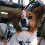 Teddy Carmody - @theteddylicious - Instagram