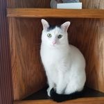 Ted Caron - @tcaron222 - Instagram