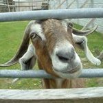 Ted Carpenter - @tcarp339 - Instagram