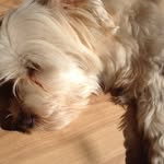 Ted.carrera - @ted.carrera - Instagram