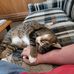 Ted Cartwright - Facebook