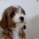@teddy_cartwright - Instagram