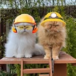 🇬🇧 TEDDIE & CASPER 🇬🇧 - @teddieandcasper - Instagram