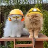 🇬🇧 Teddie & Casper 🇬🇧 - @teddieandcasper - TikTok