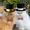 🇬🇧 Teddie & Casper 🇬🇧 - @teddieandcasper_ - TikTok