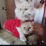 Cas___Ted___ fairy - @casper____teddy___fairy - Instagram