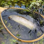 Casper Elmsted - @elmstedcasper - Instagram