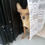 Franco Tedesco - @tedcassino - Instagram