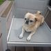 Teddy Caudill - Facebook
