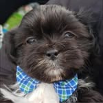 Teddie W. Caudle - @teddiecaudle - Instagram