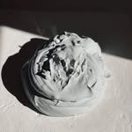 Ted C. - @tedcera - Instagram