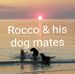 Ted Chambers - Facebook