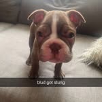 Chance Tedrick - @chance.tedrick - Instagram