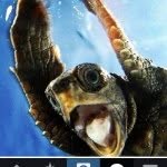 chancewinsted17 - @chancewinsted17 - Instagram