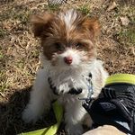 Ted Chavez - @ted.ray.chavez - Instagram