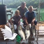 Ted Chipman - @chipman.ted - Instagram
