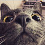 Ted Choi - @tedcai - Instagram