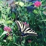 Ted Christensen - @ted.christensen.71 - Instagram