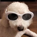 Teddy Cisneros - @teddybearcheeto - Instagram