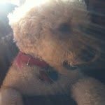 Teddy Clancy - @teddyclanc - Instagram