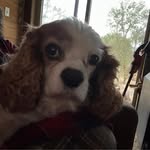 Ted Clausing - @tedclausing - Instagram