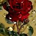 Tedy Concepcion - Facebook