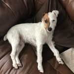 Corbett’s Pets - @tedcorbett16 - Instagram