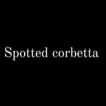 @spot_tedcorbetta - Instagram