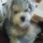 Ted Crabtree - Facebook