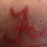 Ted Crabtree - @crabbycpa - Instagram