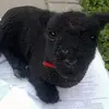 Ted Crouch - @ted.crouch - TikTok