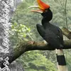 Ted Crow - @ted_crow - TikTok