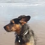 Tracey Ted Dale - @tracey.dale.71 - Instagram