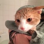 Ted Desmarais - @tedlechat - Instagram
