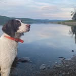 Ted DesMarais - @wilreade57 - Instagram