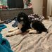 Todd Desmarais - Facebook