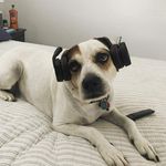 Ted Dietz - @teddydietz - Instagram