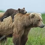Ted Doyle - @teddoyle2206 - Instagram