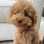 Ted Doyle - @tedthemini - Instagram