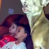Ted Doyle - @31030246356 - TikTok