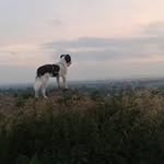Ted Doyle - @doyle.ted - Instagram