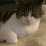 Eric Ruellet - @duff.ted - Instagram