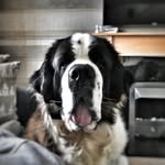 Ted Duff - @ted_the_saint_ - Instagram