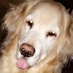 Ted - @teddyduff - Instagram