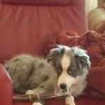 Ted Edwards - @ted.edwards.1865 - Instagram