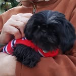 Ted Edwards - @littleteddy7771 - Instagram