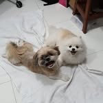Ted Chan - @tedeliaschan - Instagram