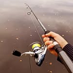 Elmer bergstedt - @bergstedt.elmer - Instagram